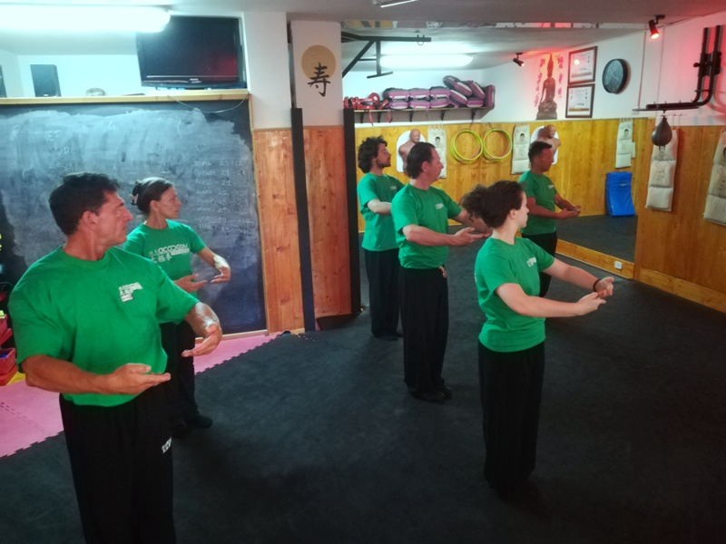 Kung Fu Academy di Sifu Mezzone scuola di wing chun e taijiquan, di wing tsun, difesa personale e arti marziali cinesi a Caserta e in Italia www.kungfuitalia.it (199)